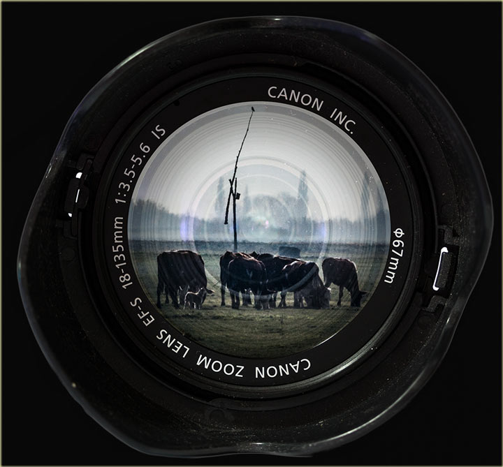 Canon, canon-džija... i Banat...