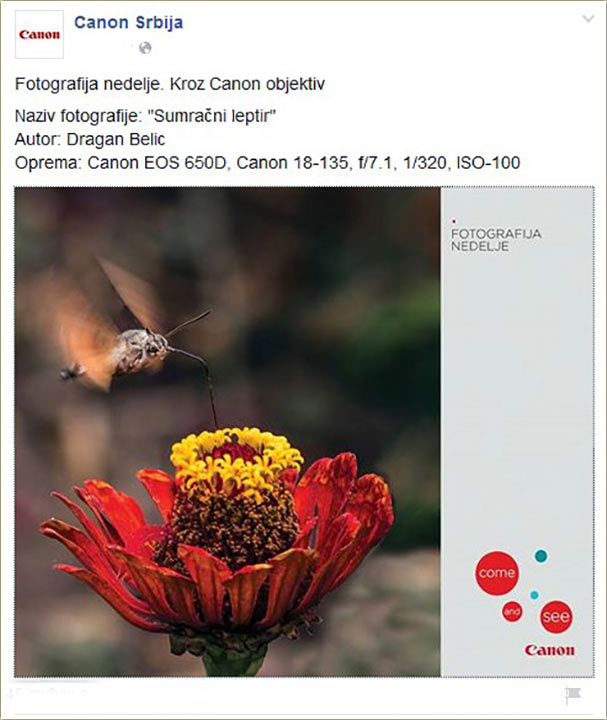 Canon Srbija - Fotografija nedelje !!!