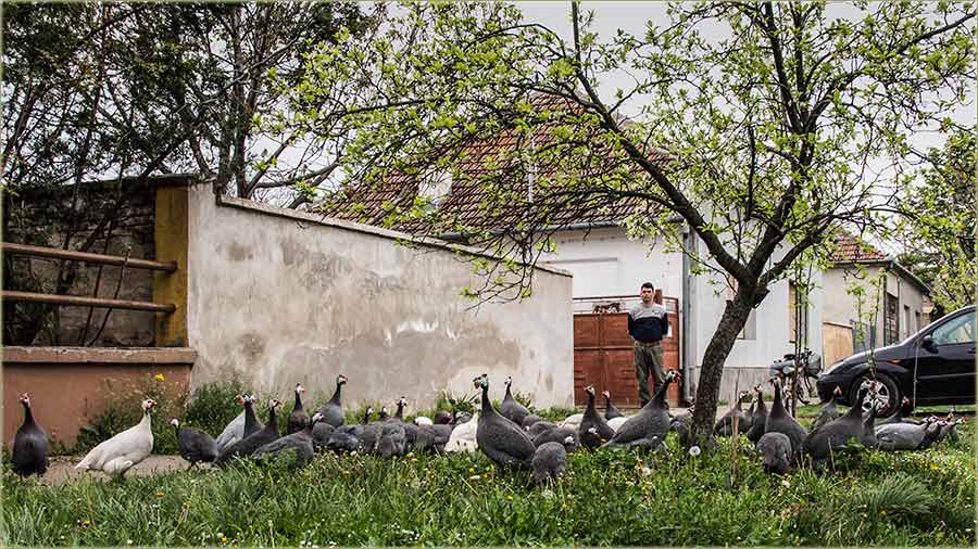 I ja sam zapatijo morke !!!