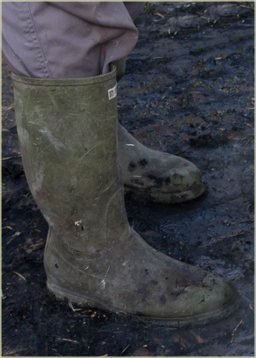 Čizma glavu (ne)čuva ?!?