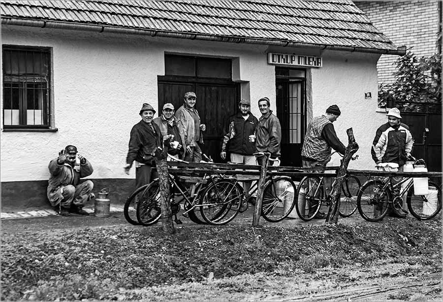 Domaćom belom mleku, se crno piše !!!