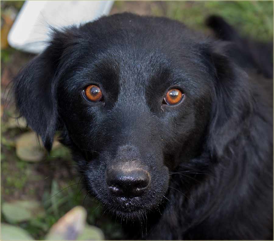 Izgubljena keruša !!!