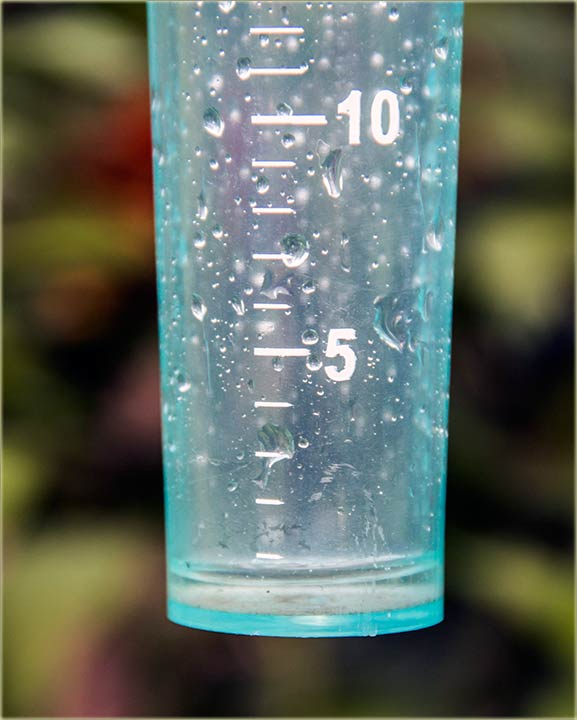 Pravi, letnji pljusak uBeodru !!!