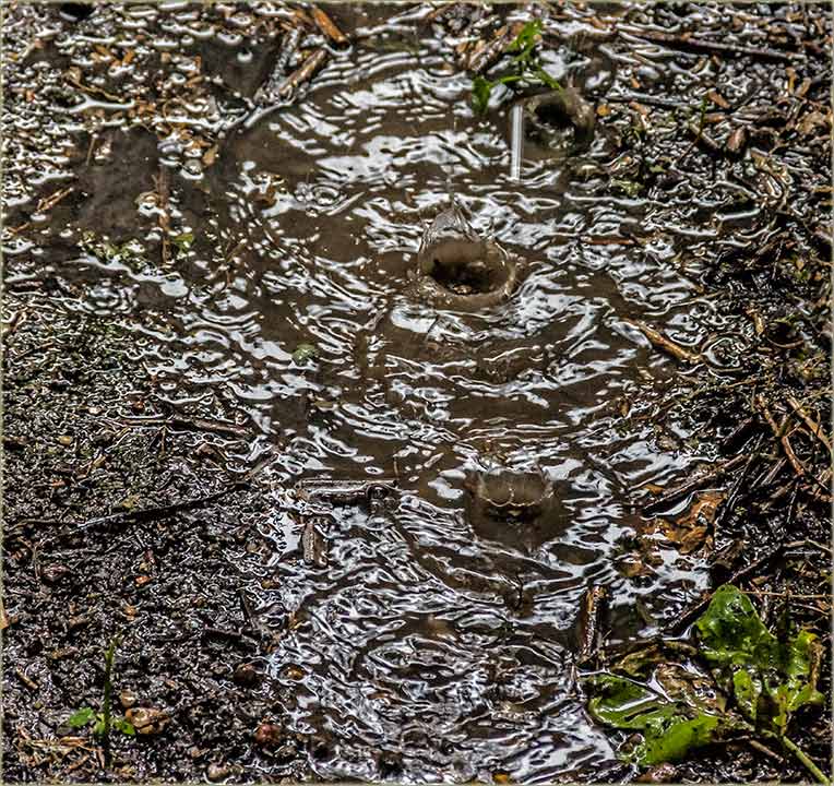 Čak je i kodNas pala kiša !?!