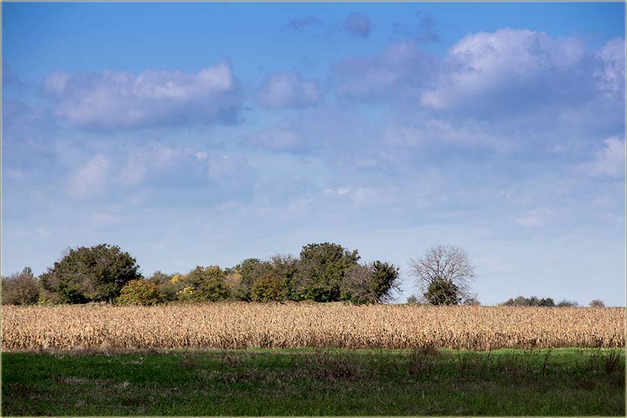 Ala ste i sLagali zdravo !!!