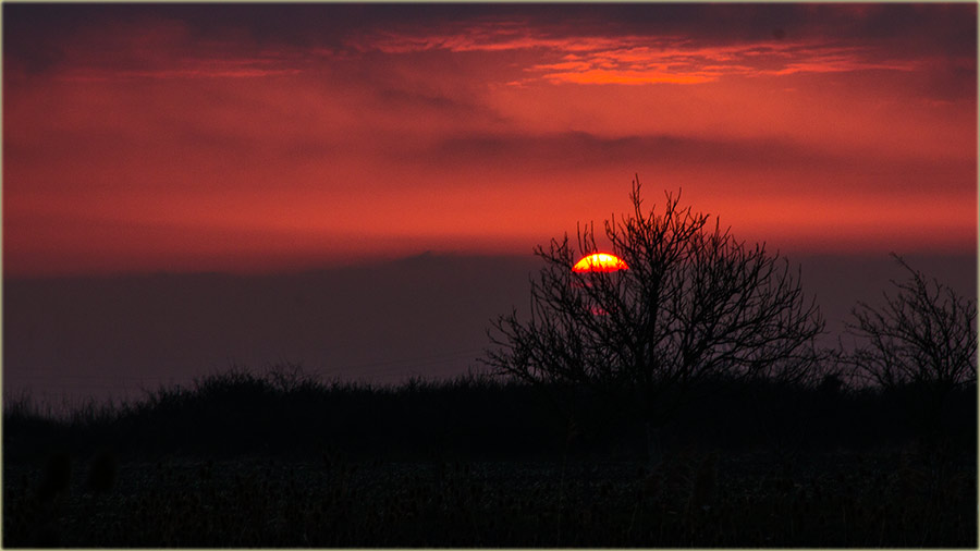Upokojijo se moj Kum Dragutin...