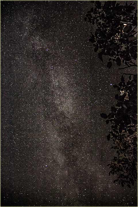 Kumova slama - pogled iz NM-a !!!