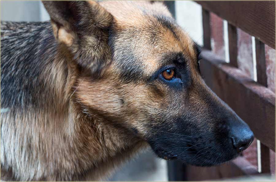 Šta on sad misli...