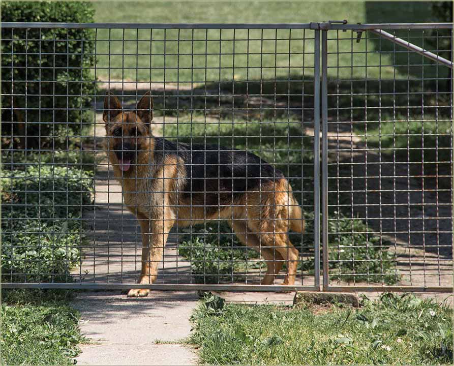 NeTreba da me zoveš priko mobilnog !!!