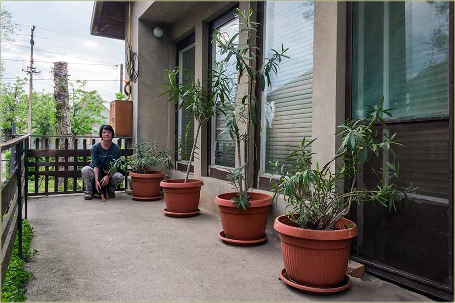 Eto šta, cvećke možedu, da značidu !!!