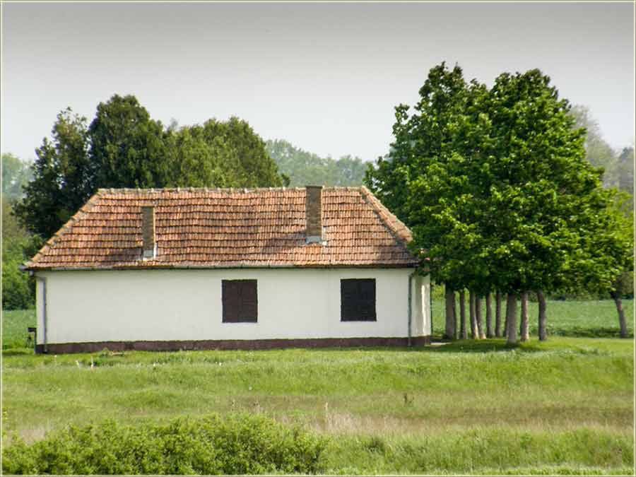 Pa..., šta ćemo ondak jesti ?!?