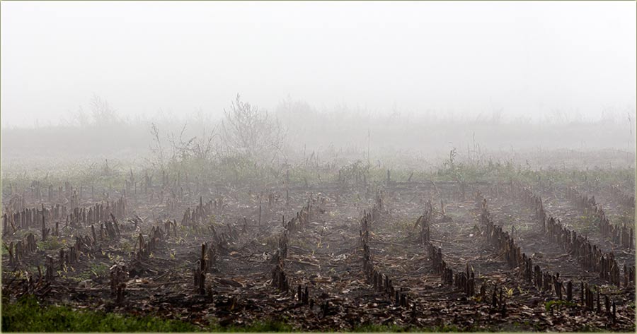 Počinjedu sve duži i duži dâni !!!
