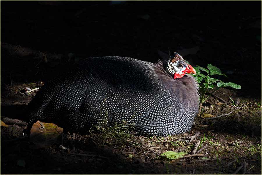 Oni ni neZnadu, da neValja naCunce !!!