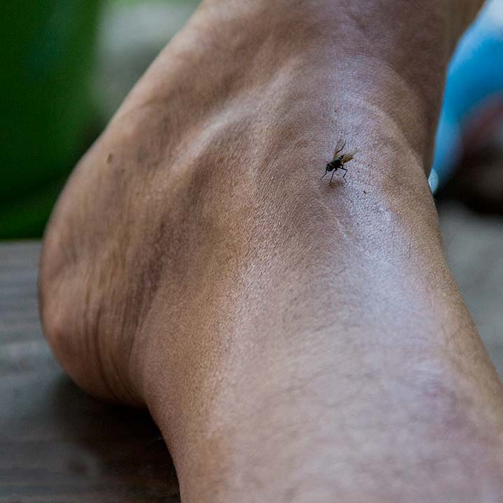 Velike vrućine III !!!