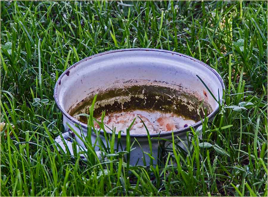 Na kazan..., to jest - na šepru !!!