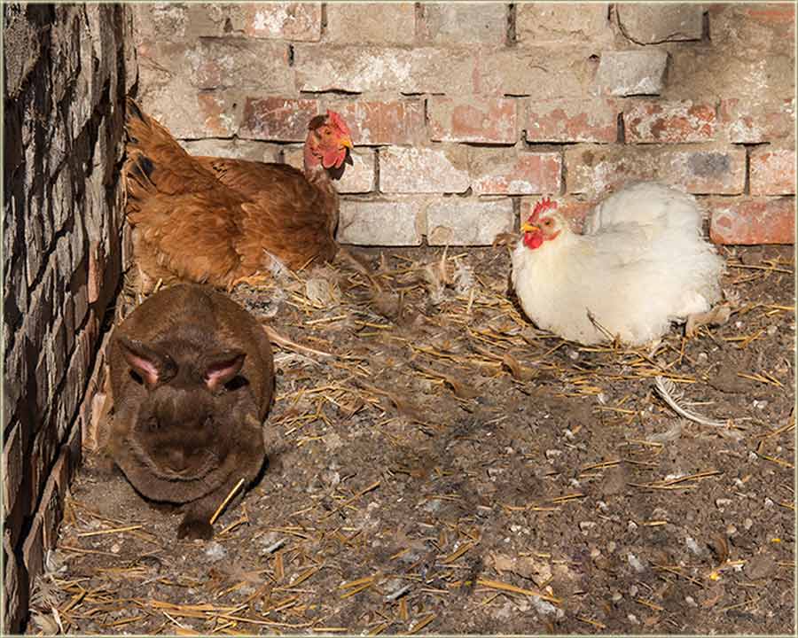 Svi smo se zaŽelili Cunca...