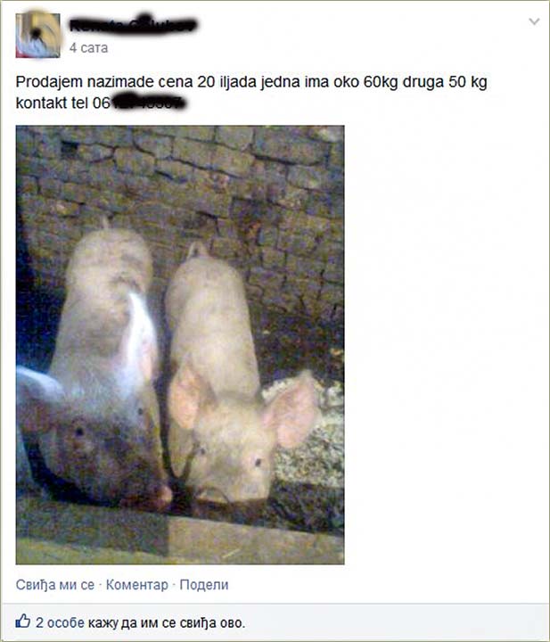 NM-čki oglasi, a priko fejsbuka !!!