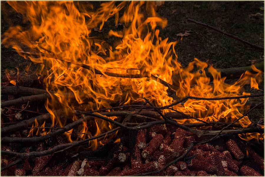 Srećan Badnji dan i Badnjo veče...