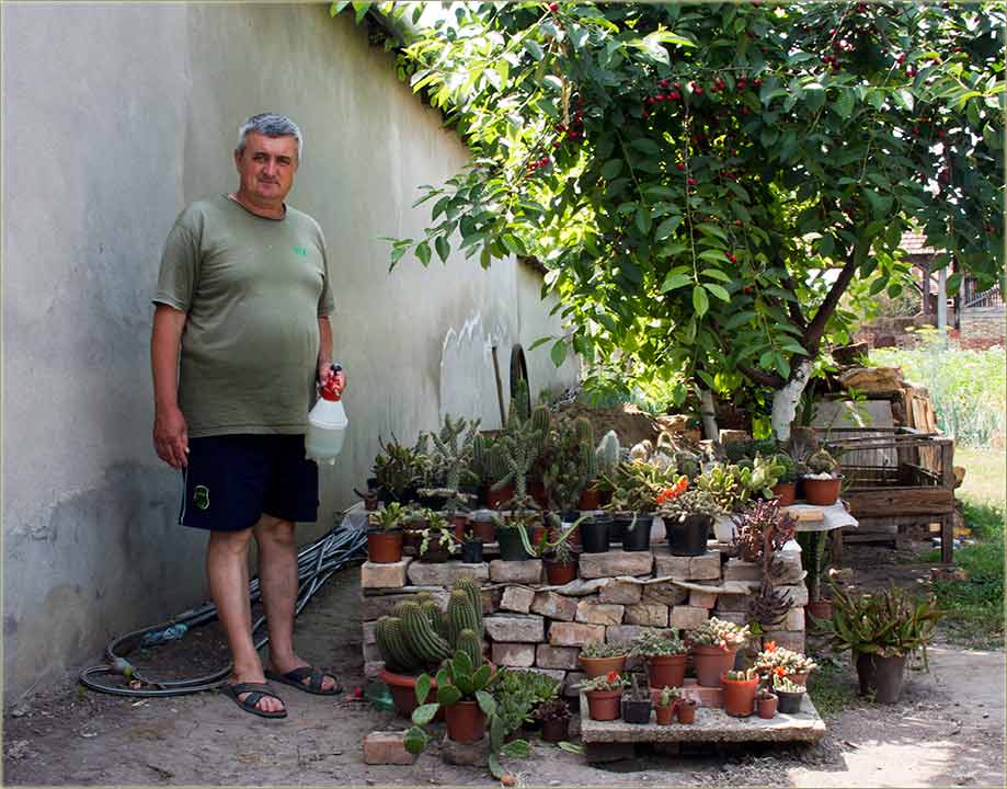 KodNas i kaktusi cvetadu !!!