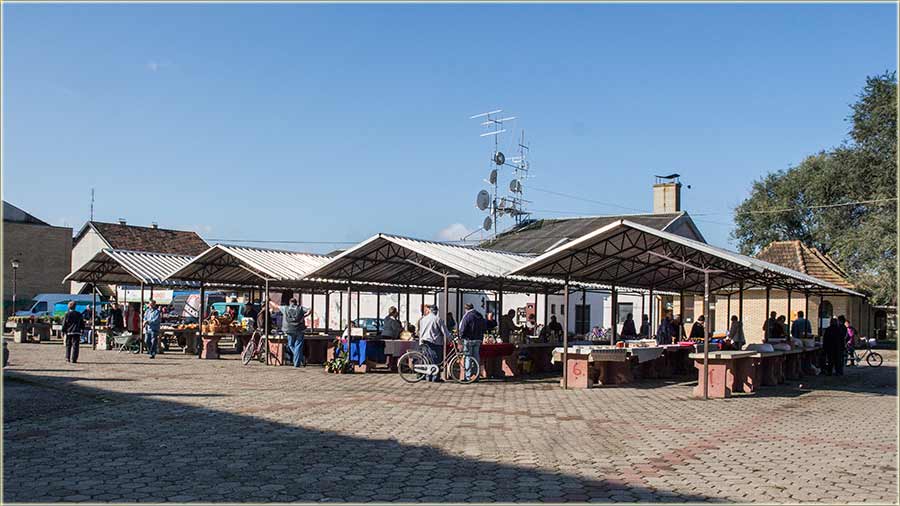 Srele se dve Verice, na pijace !!!