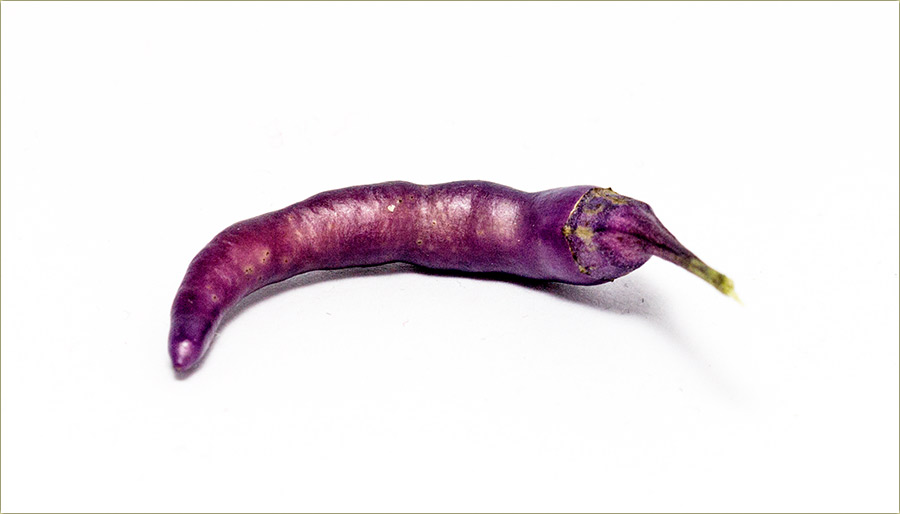 A gle šta su izmislili !?!