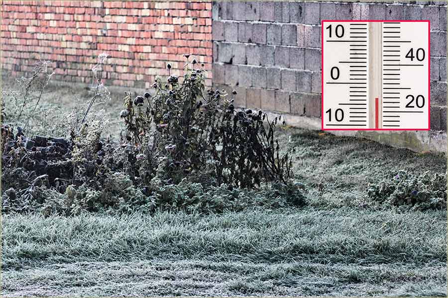 Opalijo je prvi mraz ove jeseni !!!