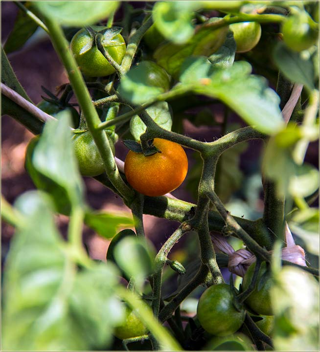 Dal znate, šta to znači ?!?