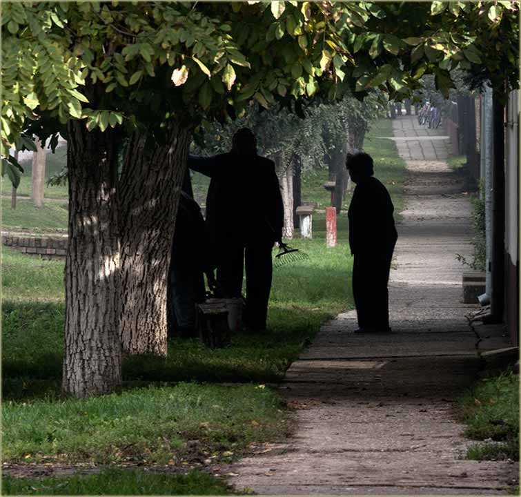 Za neke, kreće sizona čišćenja lišća !!!