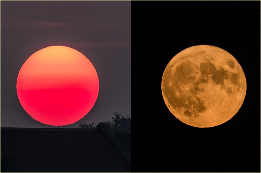 ZaNas, kav slikere, samo taka pojava !!!