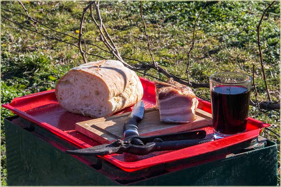 Sveti Triva, guske što naSađiva !!!