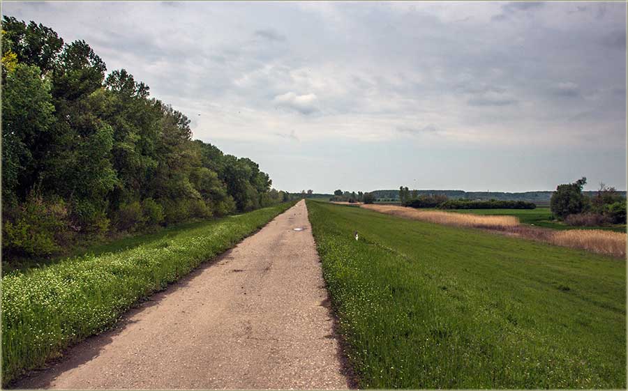 Ko se najviše raduje, za Prvi maj ?