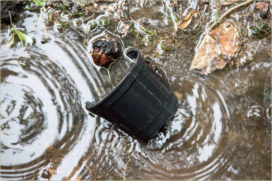 PriLegneš poslaPodna naKišu, kad ono...