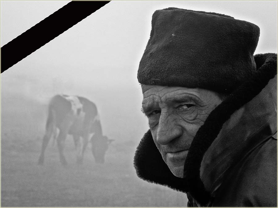 I Vesa Grčki se uPokojijo...