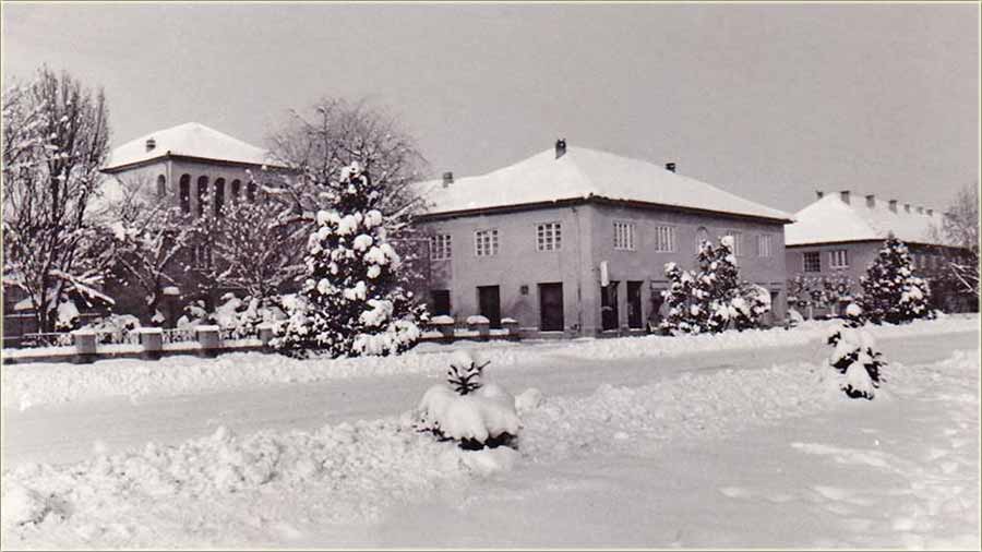 Piso nam je, Kengur Lala !!!