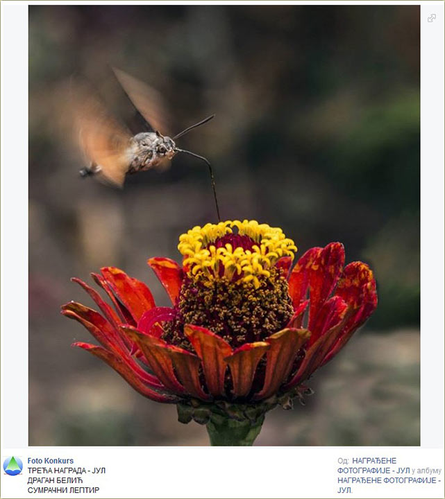 Zavod za zaštitu prirode - trećo mesto !