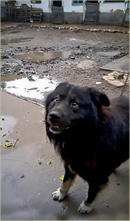 Bobikine buve su priŽivile !!!