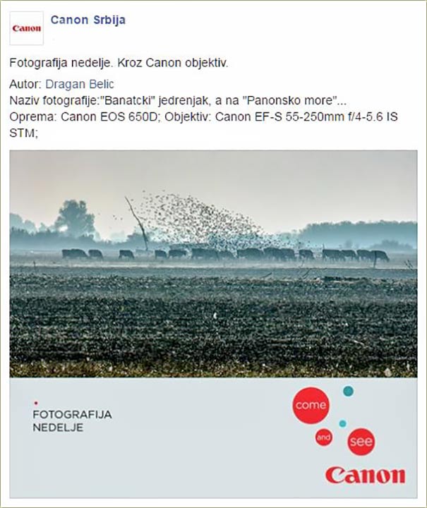 Canon Srbija - Fotografija nedelje !!!