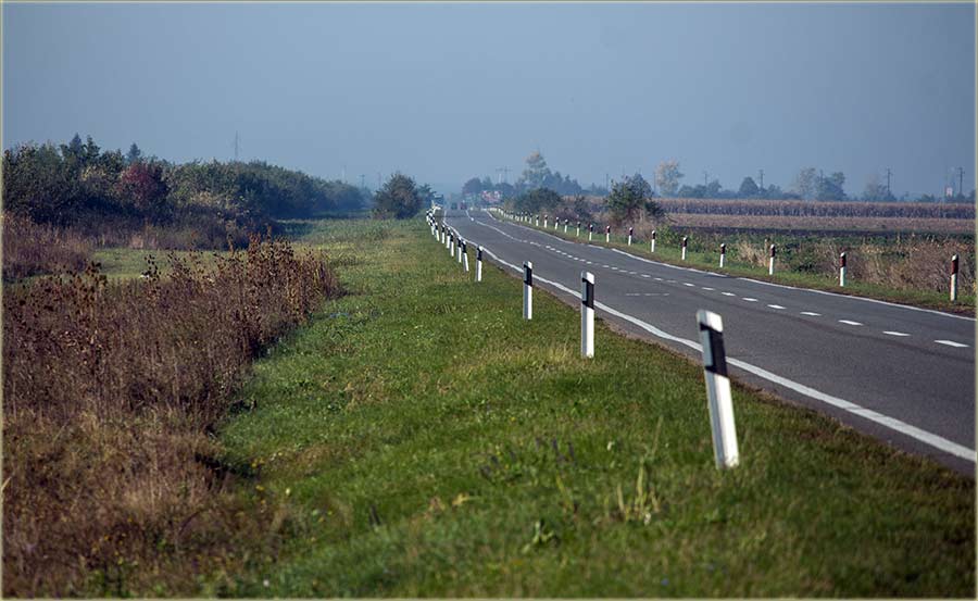 Ko to kaže, da su neuništivi ?!?