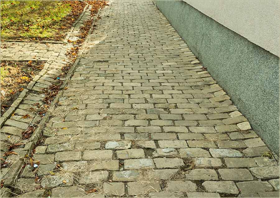 Zorica Baštovanov - flaster...