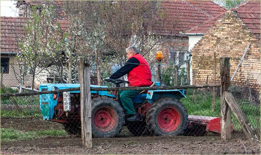 Promenuli su se zvukovi kodNas u Miloševo...