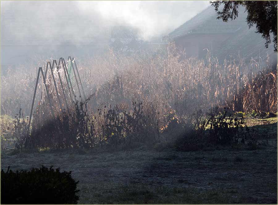 Jedna letnja priča...