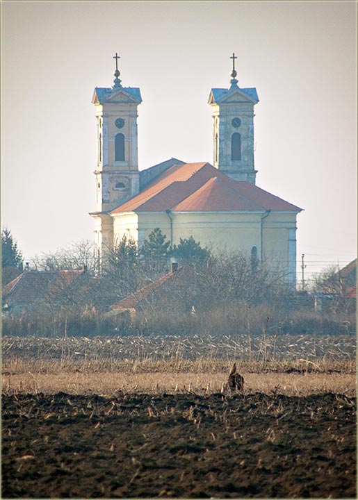 Božić, po grigorijanskim kalendaru !!!