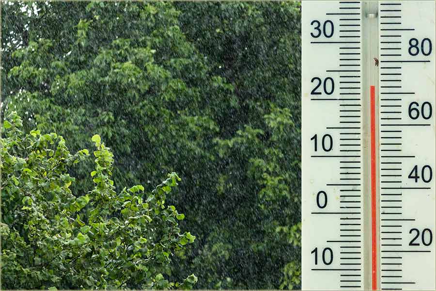 RazLadila nas je !!!