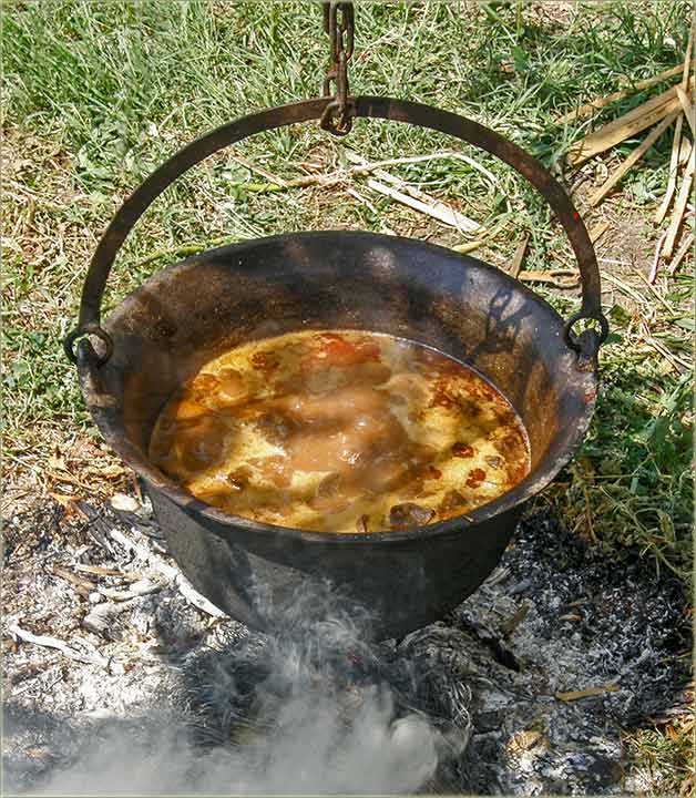 Doktorska terapija, u kafanu kod Baba Lize...