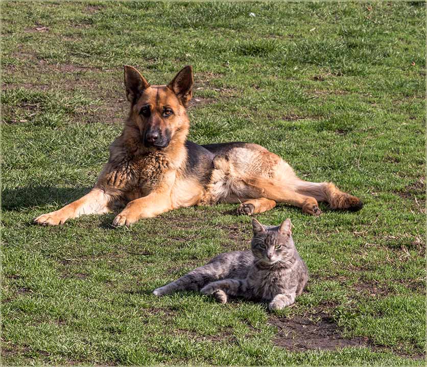 Svi čekadu toplijo vreme !!!