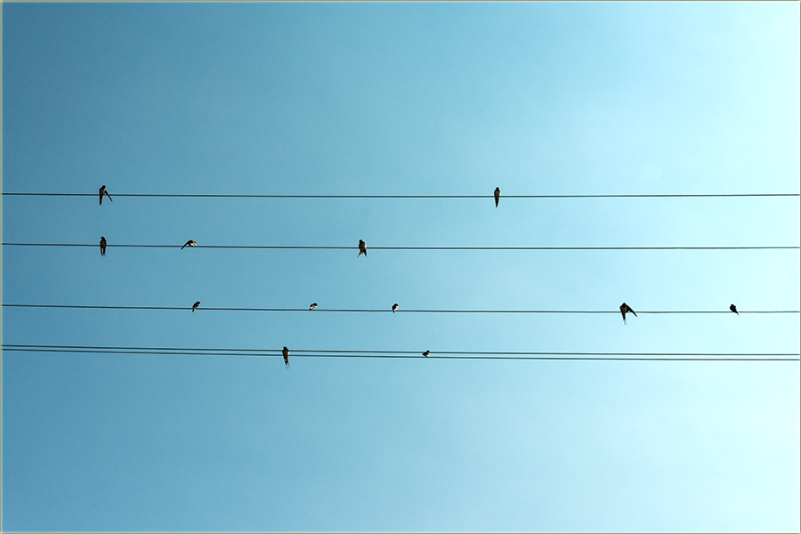 I laste su počele da grupašidu...