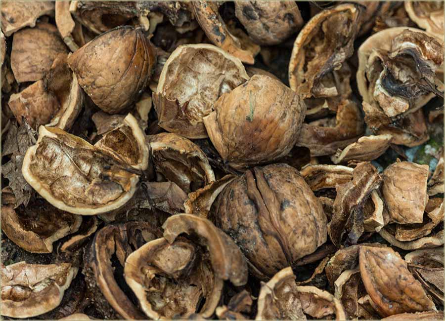 Šta se radi, kad celi dan pada kiša ?