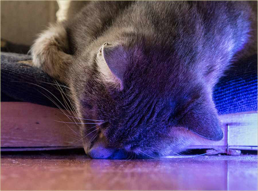 A gle kako spava !!!