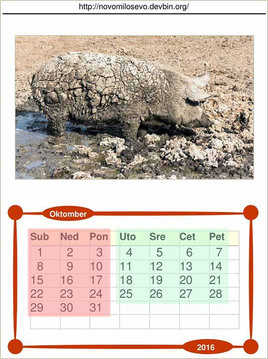 Pogledajte subatu, nedelju, ponedeljnik...