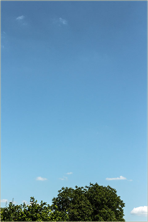 Šetnja, za dobro zdravlje...